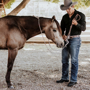 1140 BOTA VAQUERA TORO OVAL NEGRO
